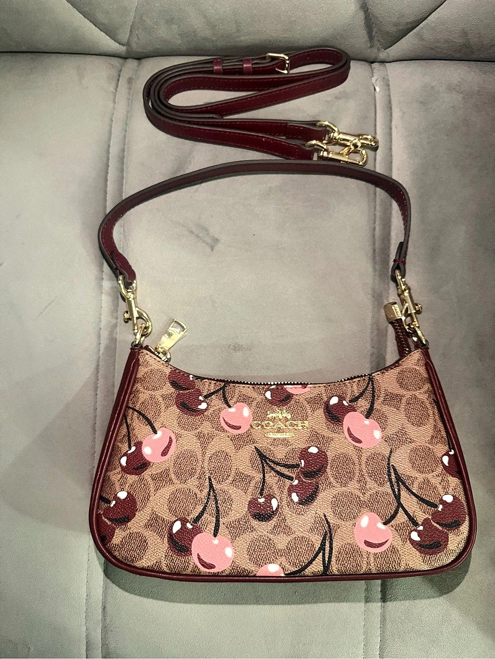 Coach Teri Shoulder Bag In Signature Canvas With Cherry Print Cherry Print